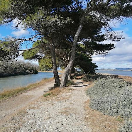 Entre Mer Et Roseaux - Piscine - Proche Centre Et Mer - Petfriendly Пор-ла-Нувель Екстер'єр фото